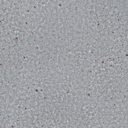 Линолеум Alex Luxe 060-1