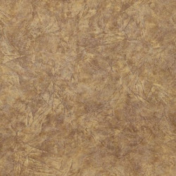 Линолеум Текстура Симпли Трофи 1