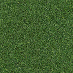 Линолеум IVC Neo Grass 25