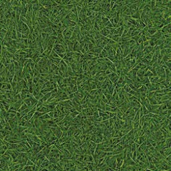 Линолеум IVC Neo Grass 25