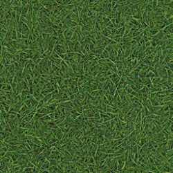 Линолеум IVC Vision Grass T25