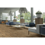 Линолеум Beauflor Ambient Gambel Oak 662M