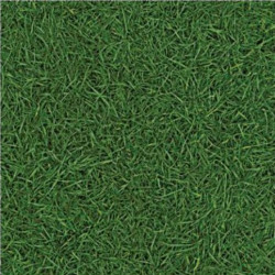Линолеум IVC Bingo Bubblegum Grass 025