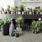 Линолеум Beauflor Harmony (5)