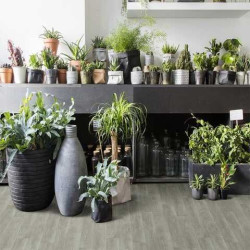 Коллекция Beauflor Harmony недорого