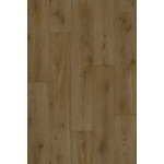 Линолеум Beauflor Harmony Forest Oak 221M