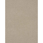 Линолеум Lentex Ranger Bronx G33 542-05