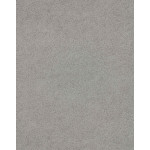 Линолеум Lentex Ranger Bronx G90 542-01