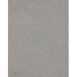 Линолеум Lentex Ranger Bronx G90 542-01