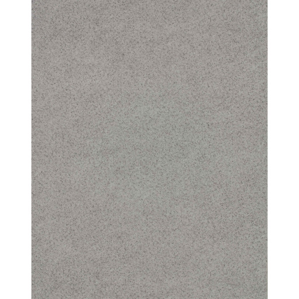 Линолеум Lentex Ranger Bronx G90 542-01