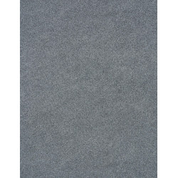 Линолеум Lentex Ranger Bronx G96 542-02