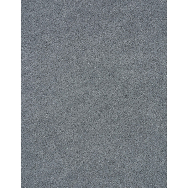 Линолеум Lentex Ranger Bronx G96 542-02