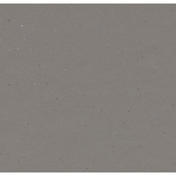 Линолеум Forbo Eternal Colour 43812 taupe sparkle