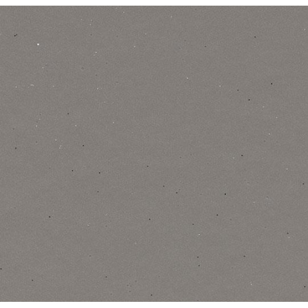 Линолеум Forbo Eternal Colour 43812 taupe sparkle