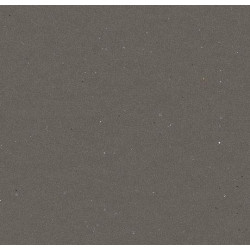 Линолеум Forbo Eternal Colour 43482 dragon sparkle