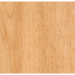 Спортивный линолеум GraboFlex Start 4181-651