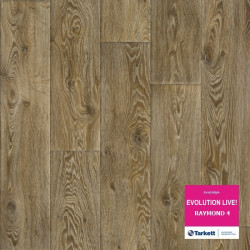 Линолеум Tarkett Evolution Live Raymond 4