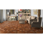 Линолеум Tarkett Premium Delhi 3