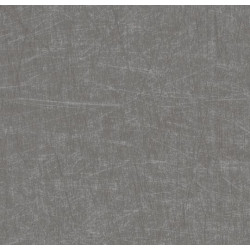 Линолеум Forbo Eternal Material 13712 brushed chrome