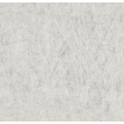 Линолеум Forbo Eternal Material 13772 brushed aluminium