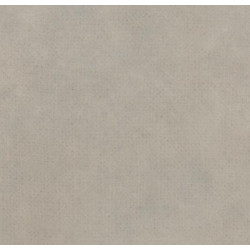 Линолеум Forbo Eternal Material 12432 light textured concrete