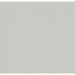 Линолеум Forbo Eternal Material 42322 smoke slate