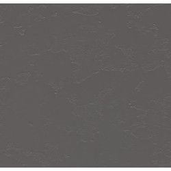 Линолеум Forbo Eternal Material 42252 mercury slate